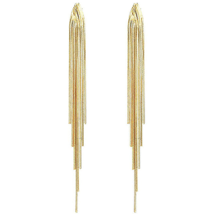 Long Fringe Earrings