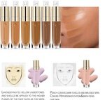 Pudaier Skin MakeUp Concealer