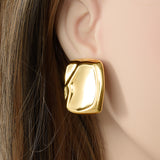 Irregular Glazed Surface Ear Stud  Earrings