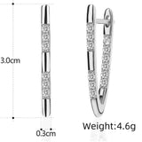 Rose Inlaid Shiny Zircon Earrings