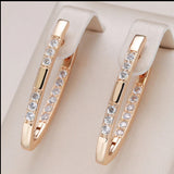 Rose Inlaid Shiny Zircon Earrings