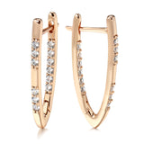 Rose Inlaid Shiny Zircon Earrings